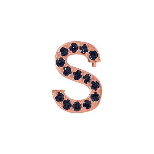 Black Diamond + 14k Rose Gold Letter Charm - Image 19