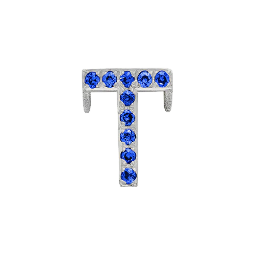 Blue Sapphire + 14k White Gold Letter Charm - Image 20