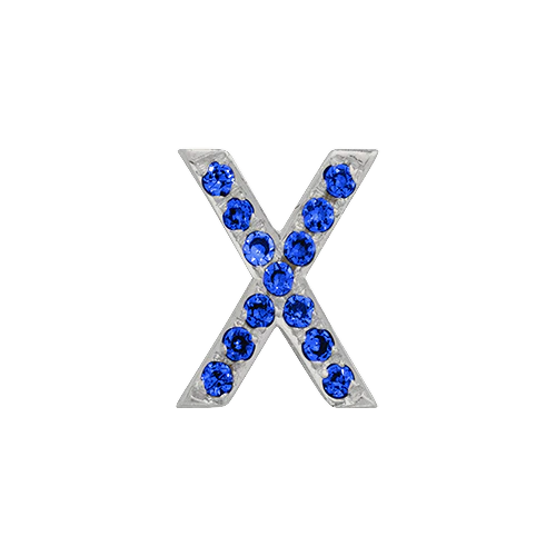 Blue Sapphire + 14k White Gold Letter Charm - Image 24