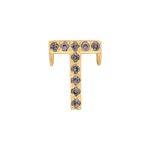 Brown Diamond + 14k Yellow Gold Letter Charm - Image 20