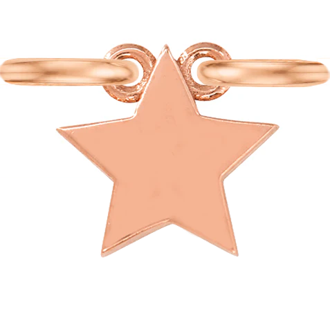 Rose Gold, Charm - Image 4