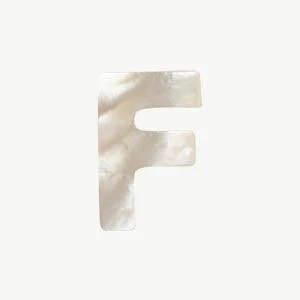 Mother of Pearl Letter Beads - Image 34