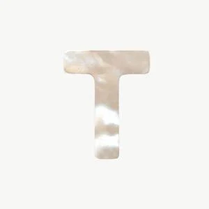Mother of Pearl Letter Beads - Image 48