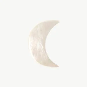 Mother of Pearl Charms - Image 9