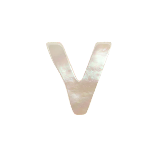 Mother of Pearl Letter Charm - Image 22