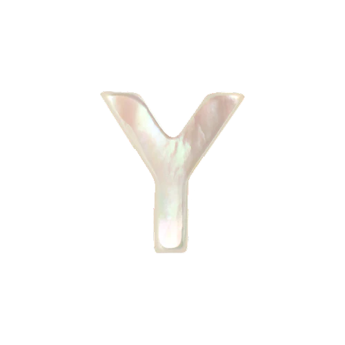 Mother of Pearl Letter Charm - Image 25