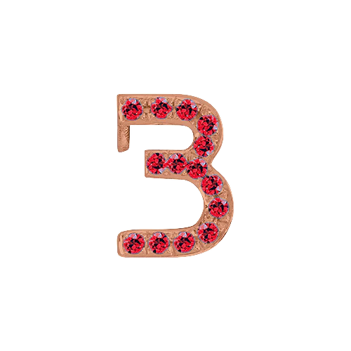 Ruby + 14k Rose Gold Number Charm - Image 4