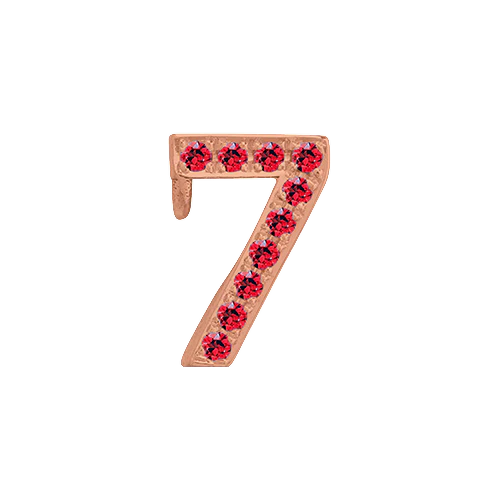 Ruby + 14k Rose Gold Number Charm - Image 8