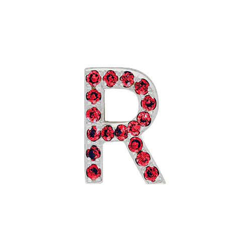 Ruby + 14k White Gold Letter Charm - Image 18