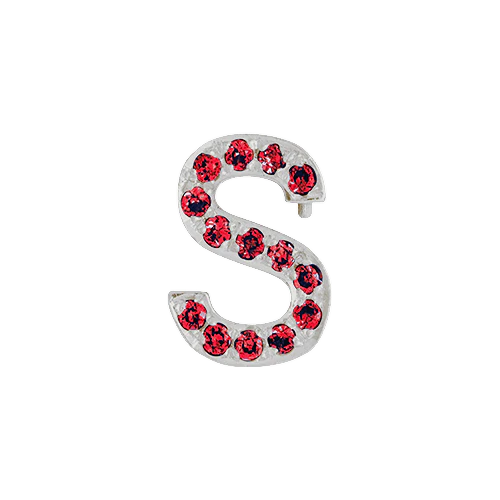 Ruby + 14k White Gold Letter Charm - Image 19
