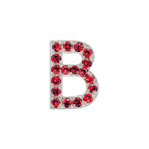 Ruby + 14k White Gold Letter Charm - Image 2