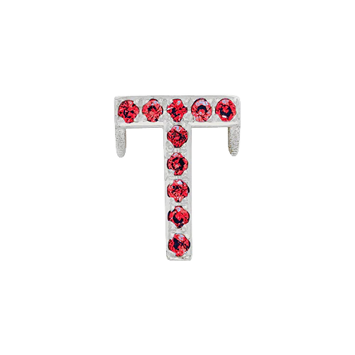 Ruby + 14k White Gold Letter Charm - Image 20
