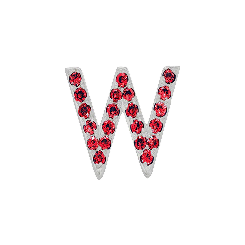 Ruby + 14k White Gold Letter Charm - Image 23