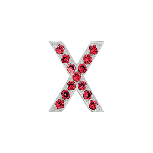 Ruby + 14k White Gold Letter Charm - Image 24