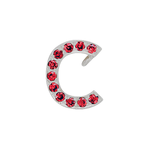 Ruby + 14k White Gold Letter Charm - Image 3