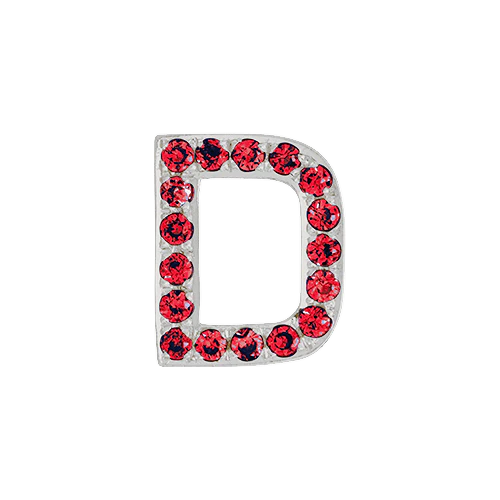 Ruby + 14k White Gold Letter Charm - Image 4