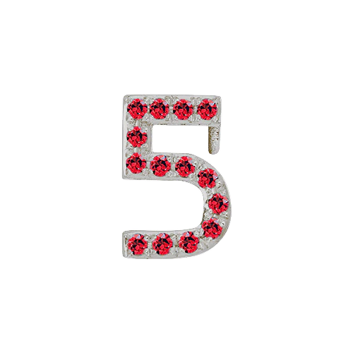 Ruby + 14k White Gold Number Charm - Image 6