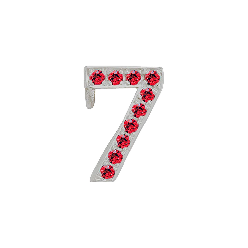 Ruby + 14k White Gold Number Charm - Image 8