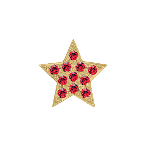 Ruby + 14k Yellow Gold Emoji Charm - Image 2