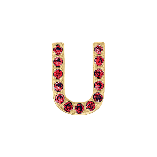 Ruby + 14k Yellow Gold Letter Charm - Image 21