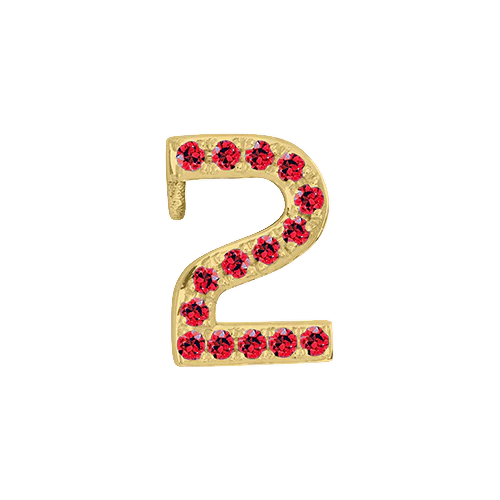 Ruby + 14k Yellow Gold Number Charm - Image 3