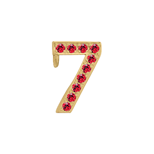Ruby + 14k Yellow Gold Number Charm - Image 8