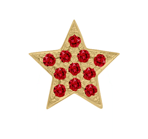 Yellow Gold, Ruby Charm Bead - Image 4